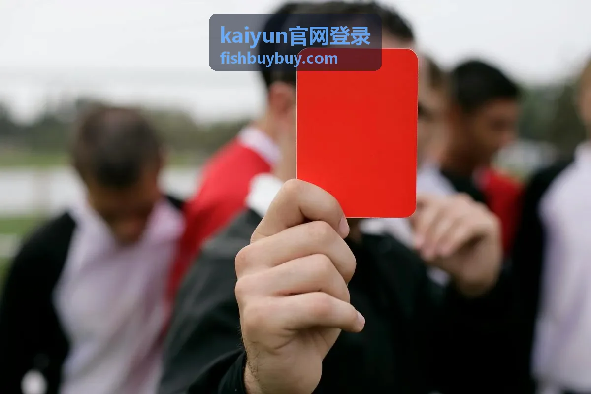 kaiyun官网登录入口识别环节要点演示