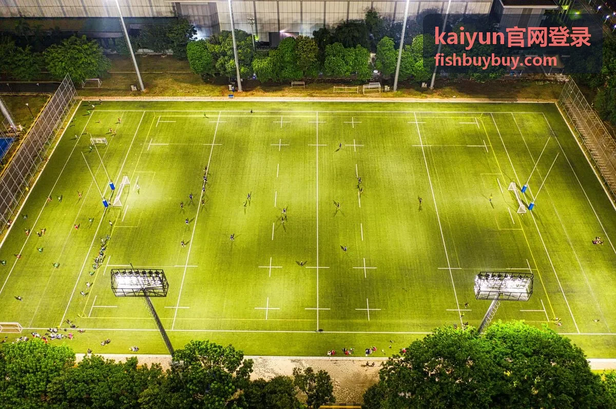 kaiyun官网登录入口核验流程示意画面