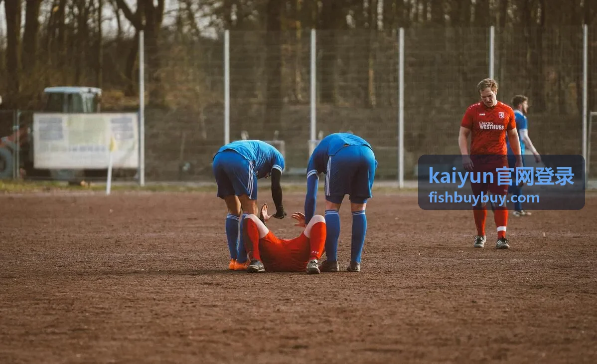 kaiyun官网登录 登录成功后账号状态自检示意