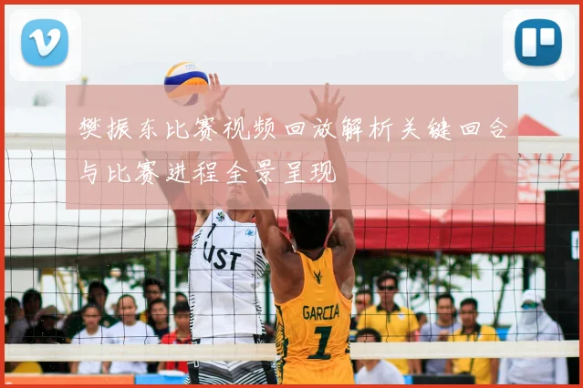 樊振东比赛视频回放解析关键回合与比赛进程全景呈现