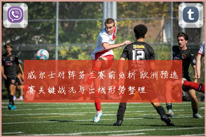 威尔士对阵芬兰赛前分析 欧洲预选赛关键战况与出线形势整理