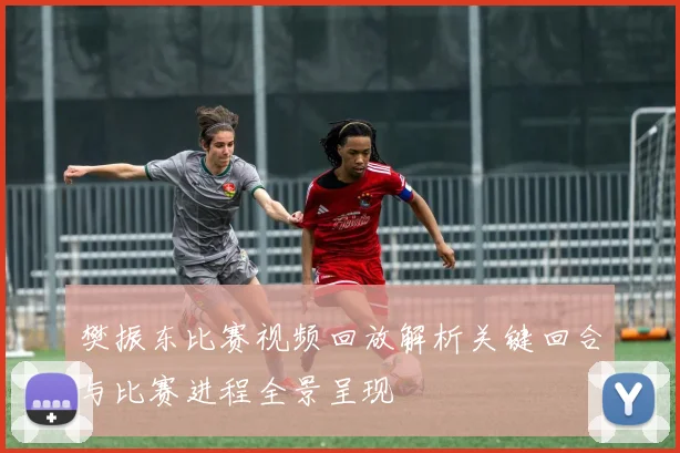 樊振东比赛视频回放解析关键回合与比赛进程全景呈现