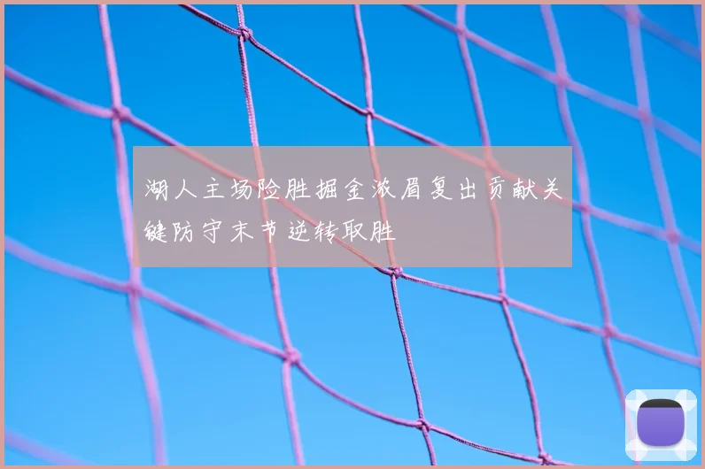 湖人主场险胜掘金浓眉复出贡献关键防守末节逆转取胜