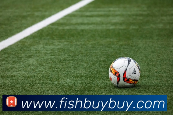 世界杯网上购票平台发展历程